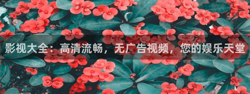 四虎影视的网址是什么：影视大全：高清流畅，无广告视频，您的娱乐天堂