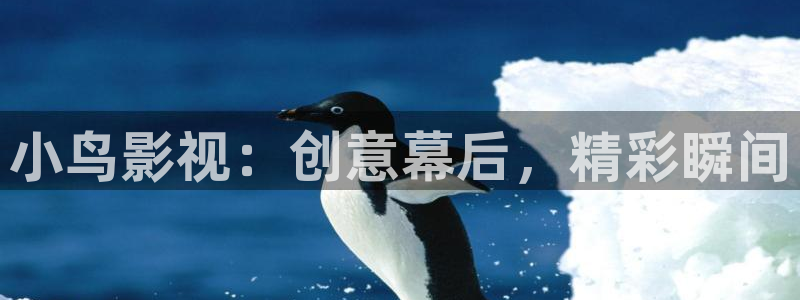 四虎影音最新电视剧免费观看：小鸟影视：创意幕后，精彩瞬间