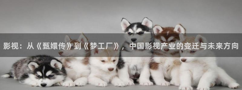 类似四虎影院的网址